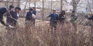 mod tariya, gevch yaj_01