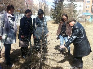 mod tariya, gevch yaj_02